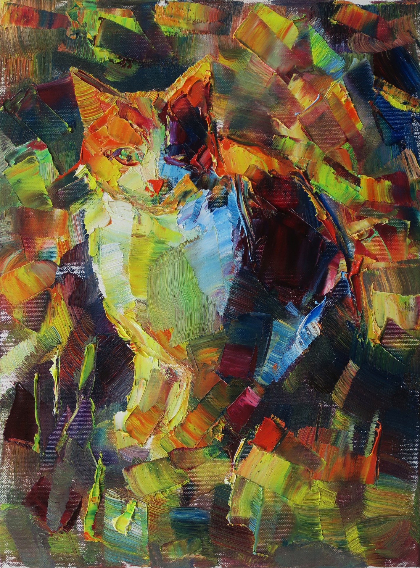 Kolorowy kot X