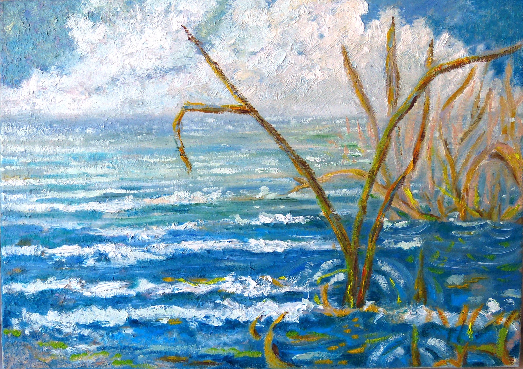 Morska trawa - letni pejzaż morski